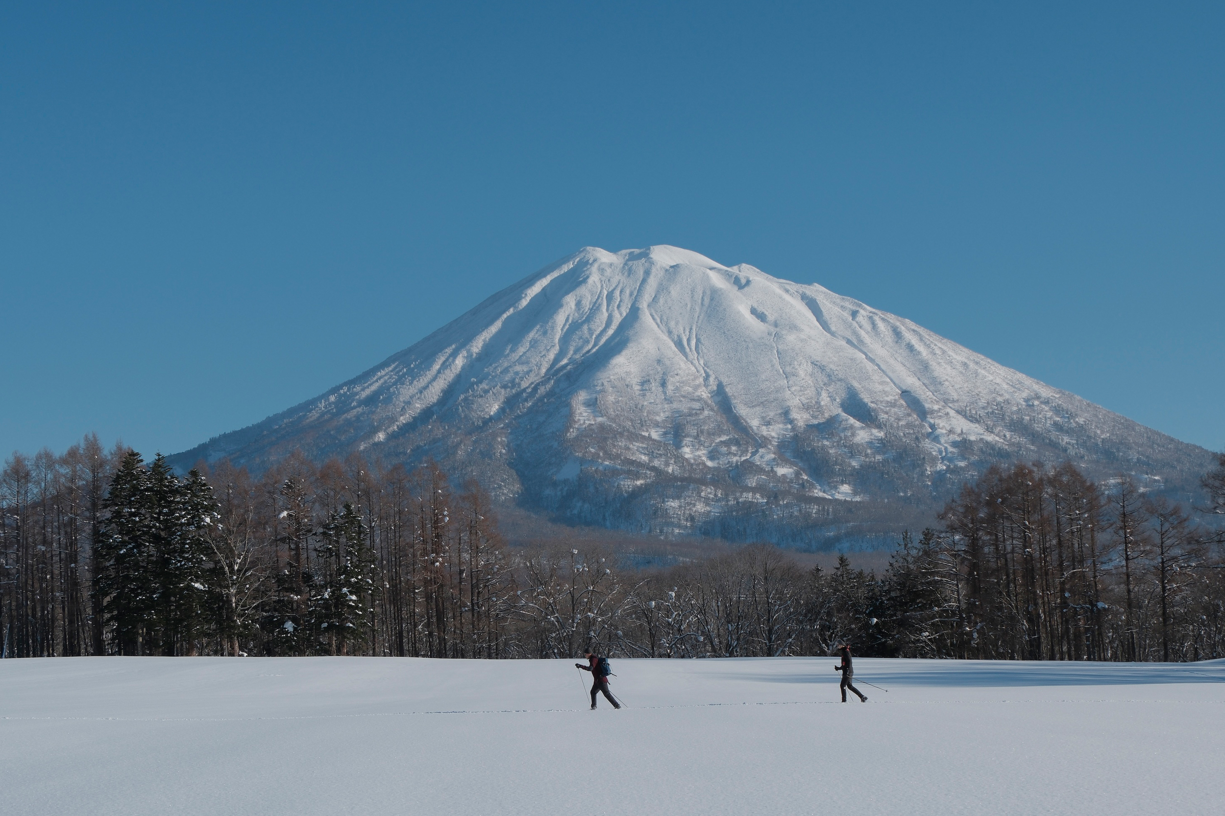 Photo by Yoichi Watanabe